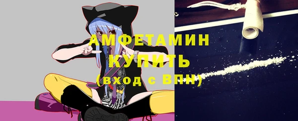 прущие грибы Медвежьегорск