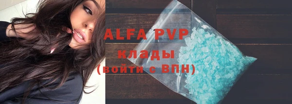 прущие грибы Медвежьегорск