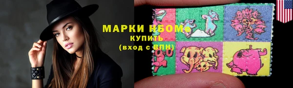 прущие грибы Медвежьегорск