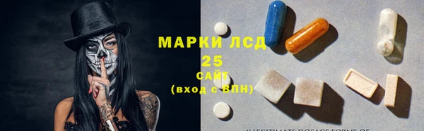 гашик Мегион