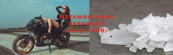 прущие грибы Медвежьегорск