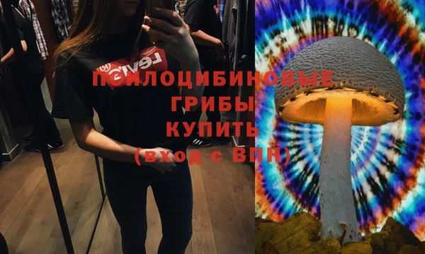 герыч Магас