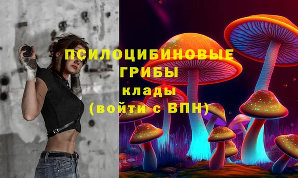 герыч Майский