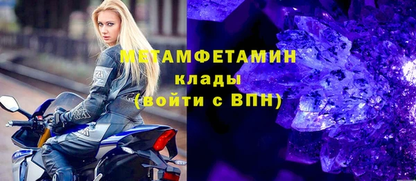 прущие грибы Медвежьегорск