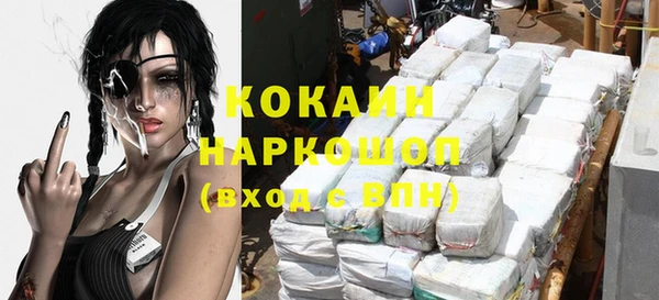 гашик Мегион